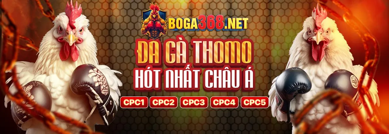 B66 iOS Chính sách quyền riêng tư